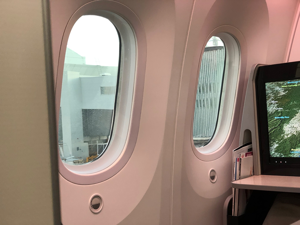 Not much to see out the window from the aisle