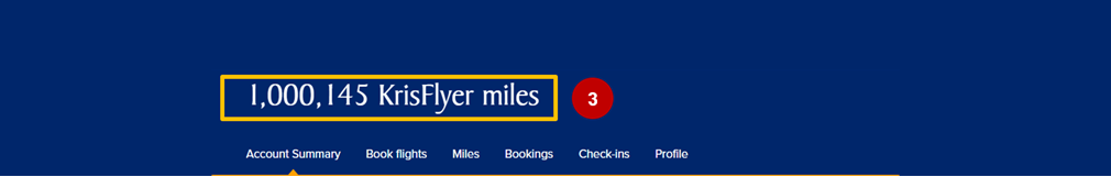 Krisflyer miles