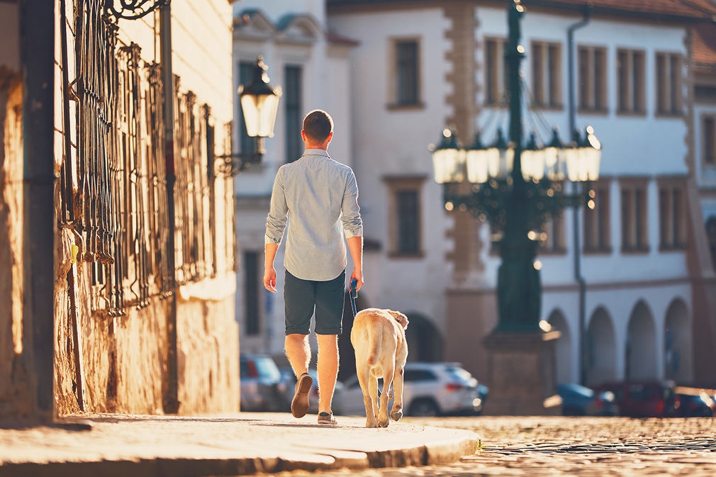 Walking the dog in a new city