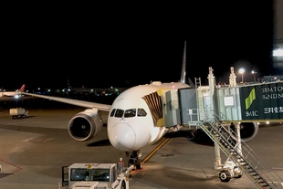 JL771-Docked-B787-Dreamliner.jpg