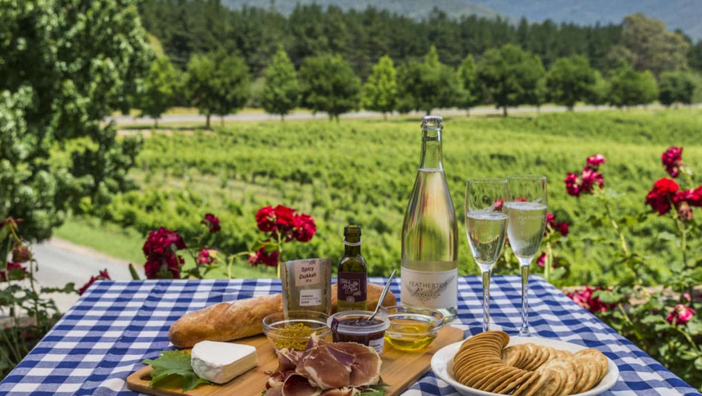 A picnic with wine and nibbles