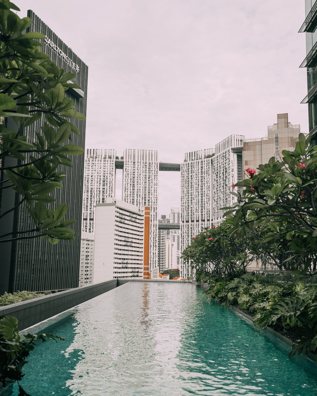 Sofitel Singapore City Centre Pool