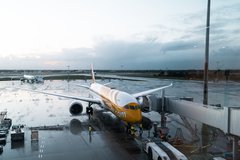 Scoot plane