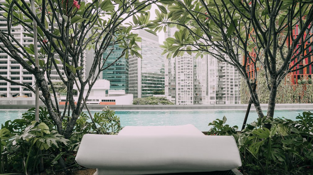 Pool at the Singapore Sofitel